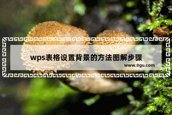 wps表格设置背景的方法图解步骤