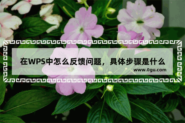 在WPS中怎么反馈问题，具体步骤是什么