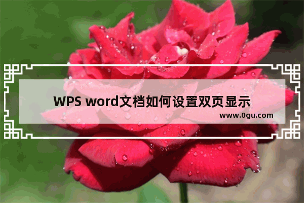 WPS word文档如何设置双页显示