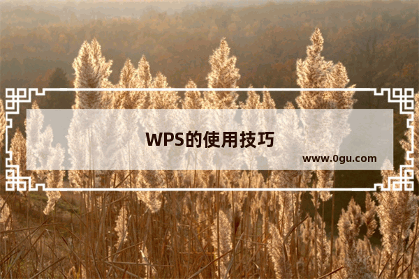 WPS的使用技巧