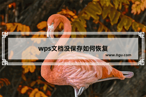 wps文档没保存如何恢复