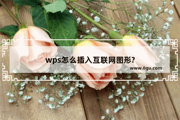 wps怎么插入互联网图形?