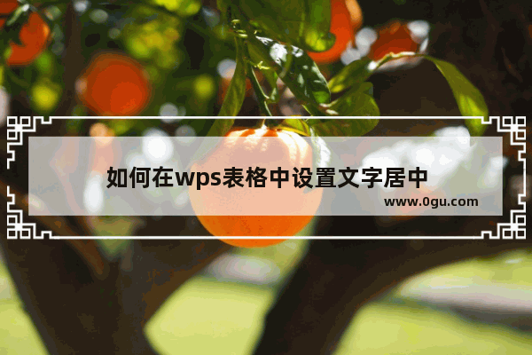 如何在wps表格中设置文字居中