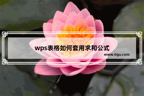 wps表格如何套用求和公式