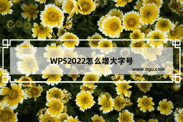 WPS2022怎么增大字号