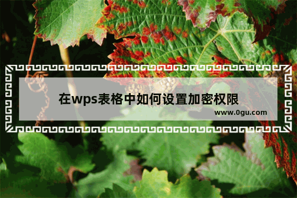 在wps表格中如何设置加密权限