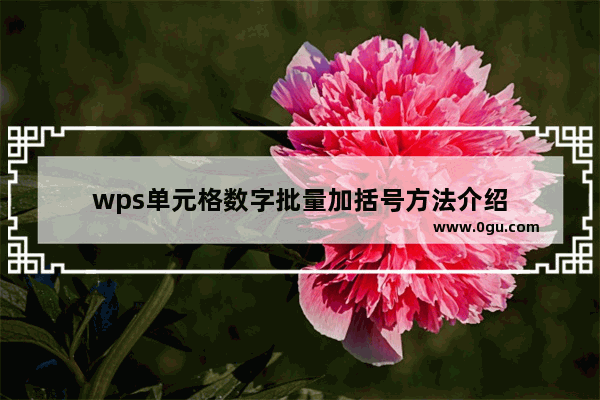 wps单元格数字批量加括号方法介绍