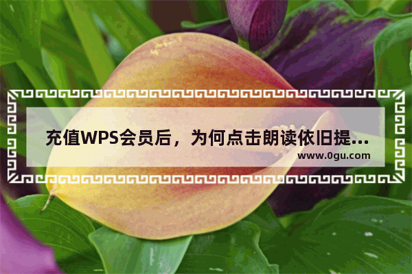 充值WPS会员后，为何点击朗读依旧提示要付费