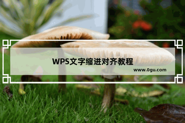 WPS文字缩进对齐教程