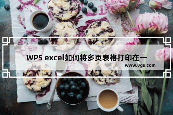 WPS excel如何将多页表格打印在一张上