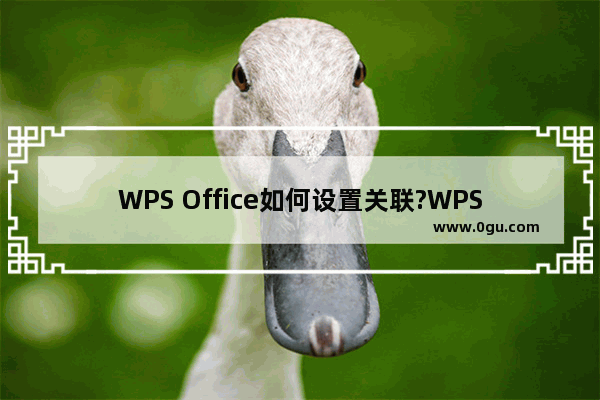 WPS Office如何设置关联?WPS Office设置关联方法