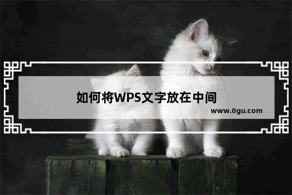 如何将WPS文字放在中间