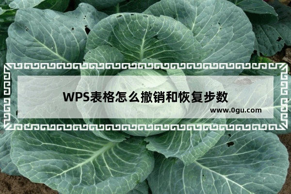 WPS表格怎么撤销和恢复步数