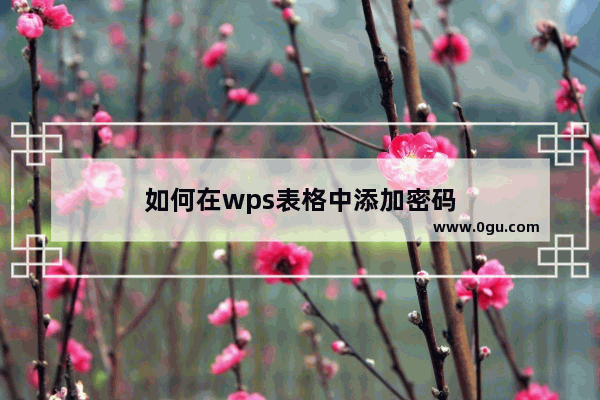 如何在wps表格中添加密码