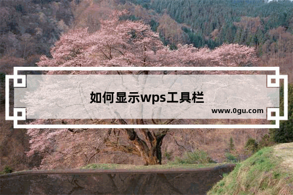 如何显示wps工具栏