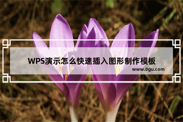 WPS演示怎么快速插入图形制作模板