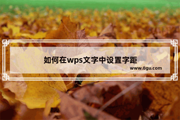 如何在wps文字中设置字距