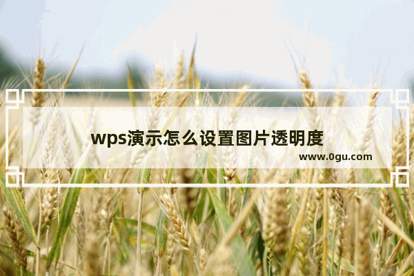 wps演示怎么设置图片透明度