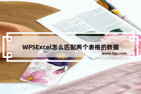 WPSExcel怎么匹配两个表格的数据