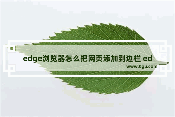 edge浏览器怎么把网页添加到边栏 edge浏览器将网页添加到边栏的方法