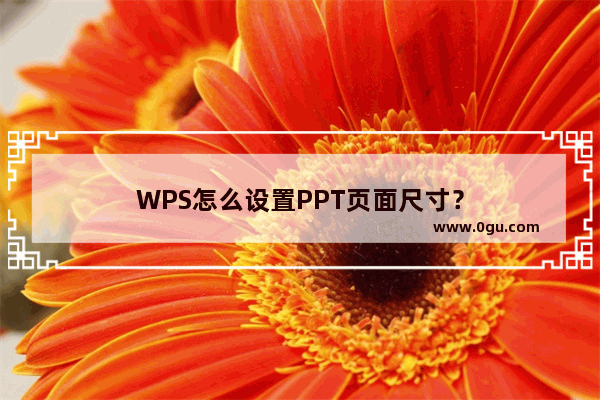 WPS怎么设置PPT页面尺寸？