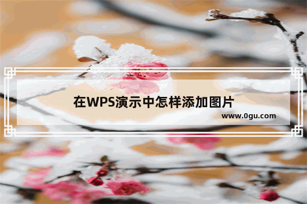 在WPS演示中怎样添加图片