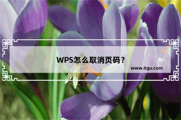 WPS怎么取消页码？