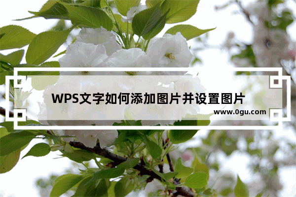 WPS文字如何添加图片并设置图片