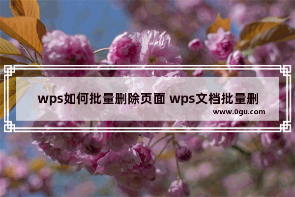 wps如何批量删除页面 wps文档批量删除页面教程