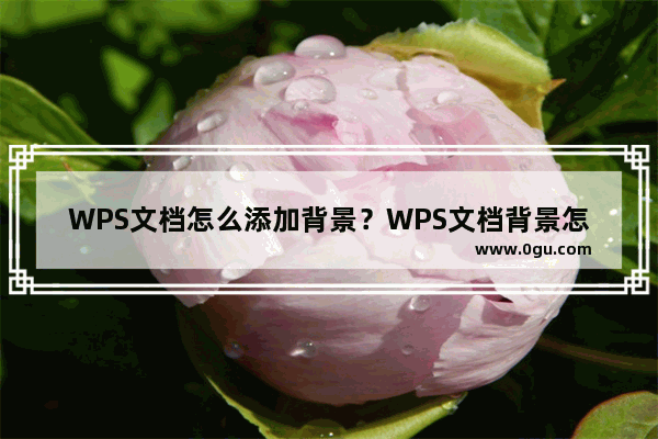 WPS文档怎么添加背景？WPS文档背景怎么添加？怎么做