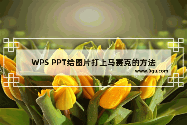 WPS PPT给图片打上马赛克的方法