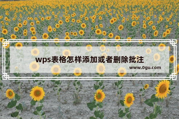 wps表格怎样添加或者删除批注