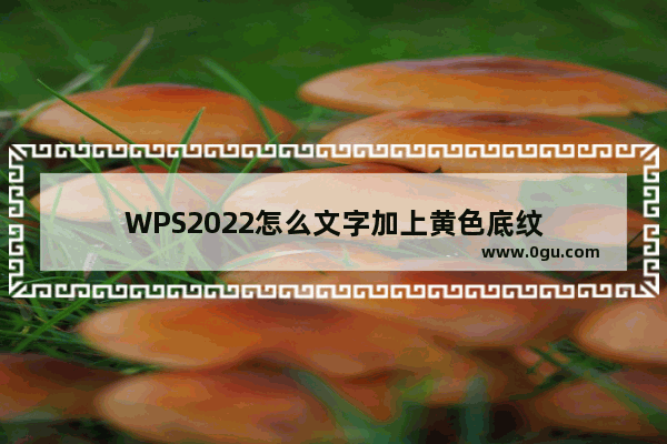 WPS2022怎么文字加上黄色底纹