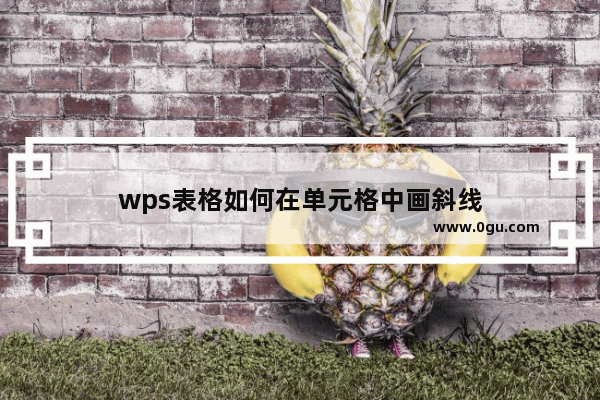 wps表格如何在单元格中画斜线