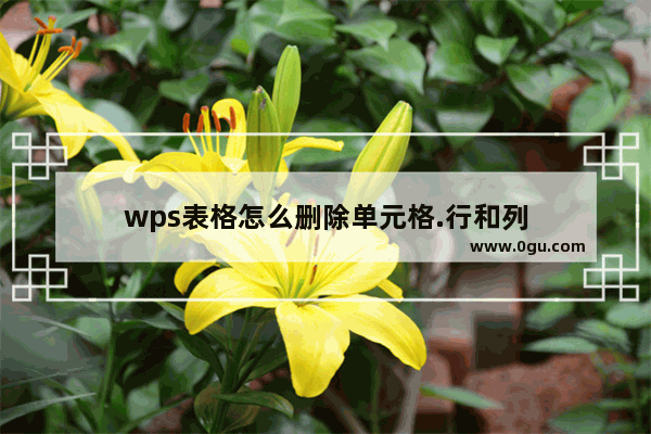 wps表格怎么删除单元格.行和列