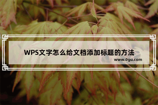 WPS文字怎么给文档添加标题的方法