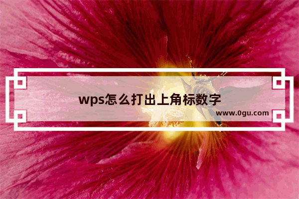 wps怎么打出上角标数字