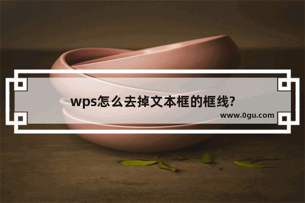 wps怎么去掉文本框的框线?