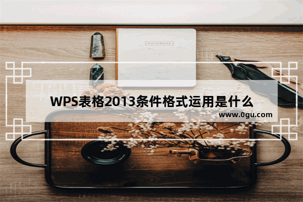 WPS表格2013条件格式运用是什么