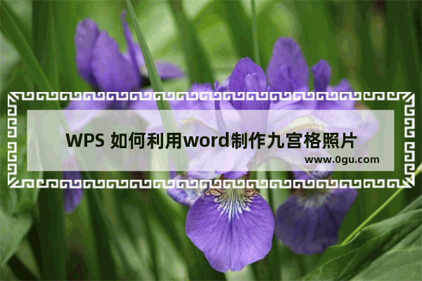 WPS 如何利用word制作九宫格照片