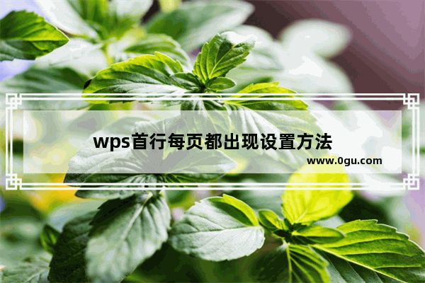 wps首行每页都出现设置方法