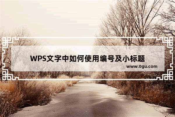 WPS文字中如何使用编号及小标题