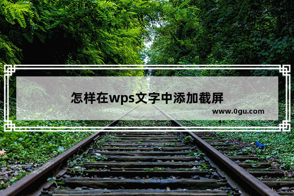 怎样在wps文字中添加截屏