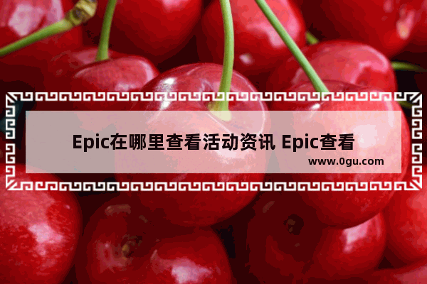 Epic在哪里查看活动资讯 Epic查看游戏资讯的方法