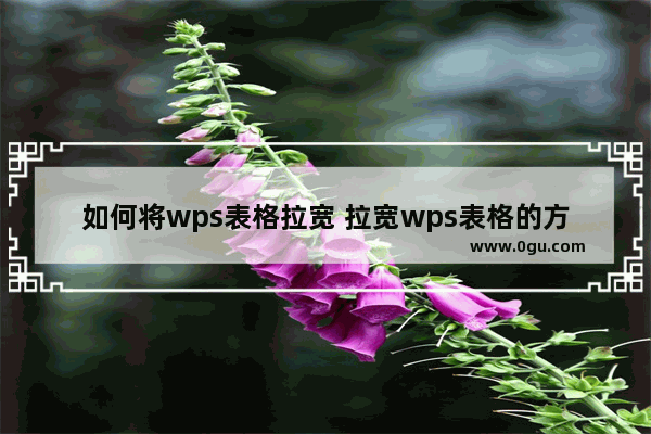 如何将wps表格拉宽 拉宽wps表格的方法