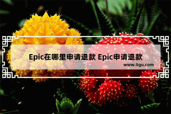 Epic在哪里申请退款 Epic申请退款的方法