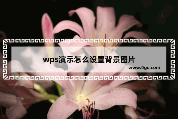 wps演示怎么设置背景图片