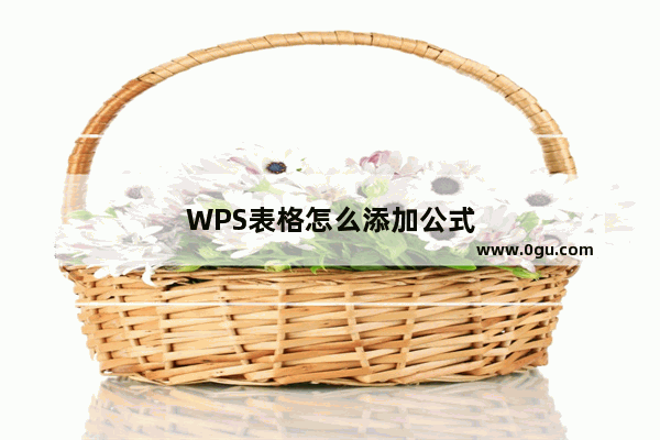 WPS表格怎么添加公式