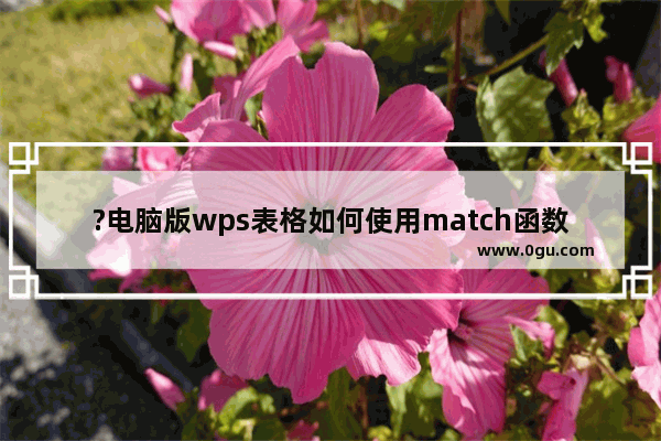 ?电脑版wps表格如何使用match函数进行查找匹配