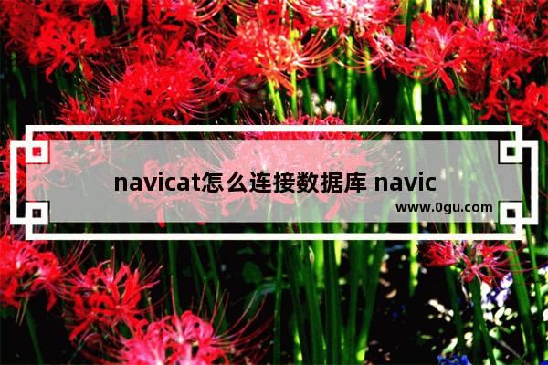 navicat怎么连接数据库 navicat连接数据库的方法